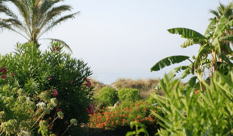 Marbella