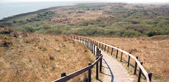 Ameland
