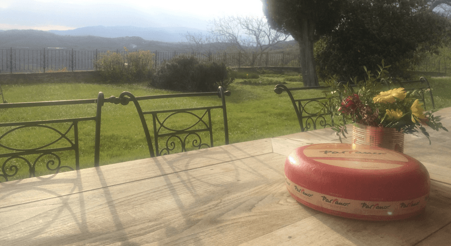 Courgette Lasagne