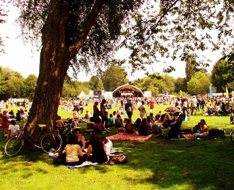 ROOTS festival 2016