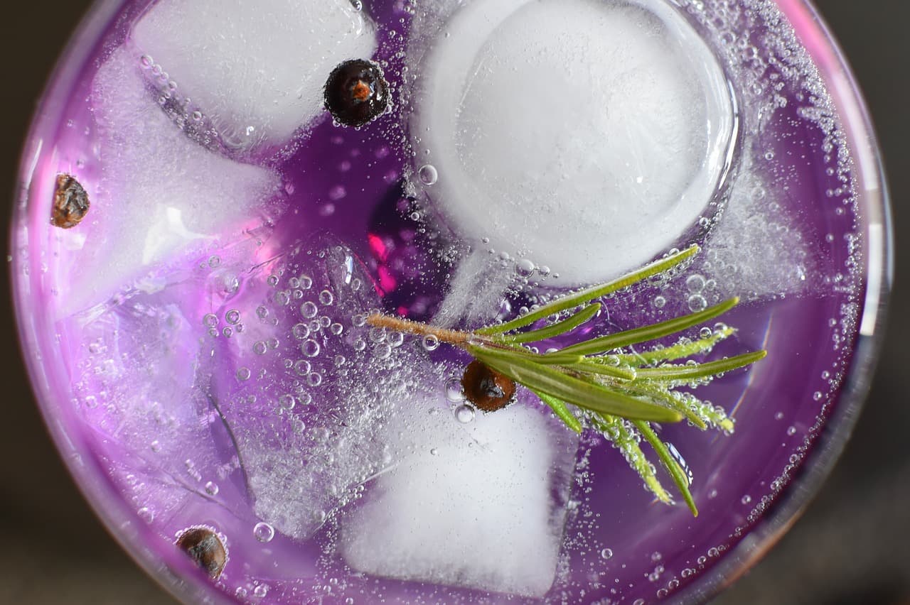 Gin Festival