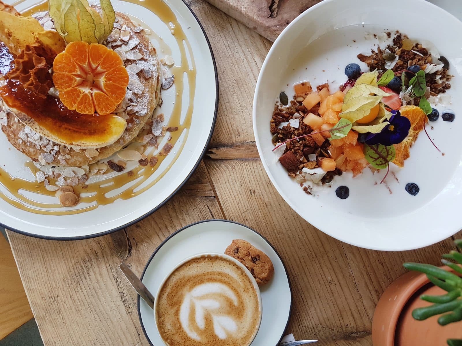 De beste en leukste vegan hotspots van Amsterdam
