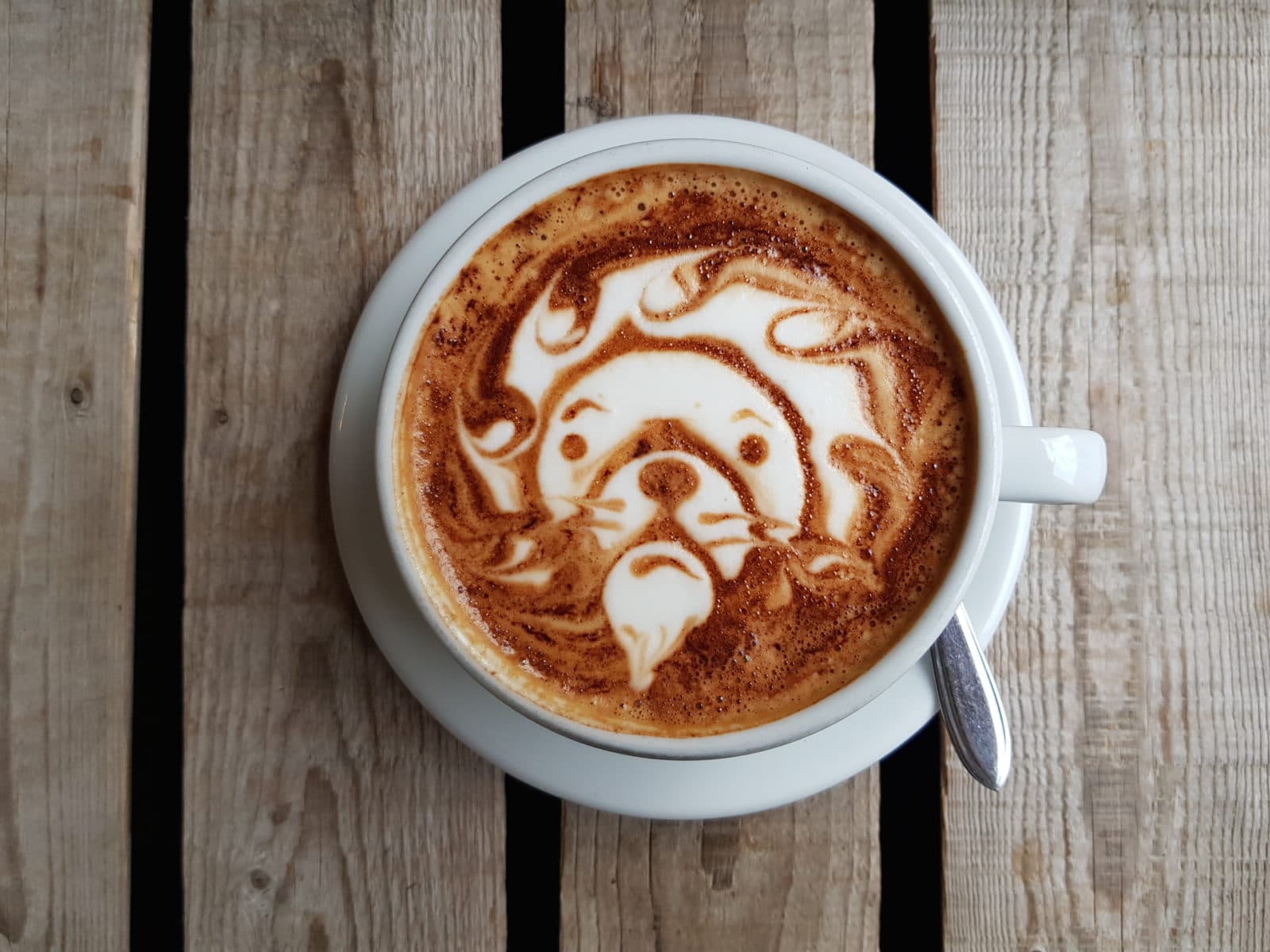 De mooiste latte art van Amsterdam