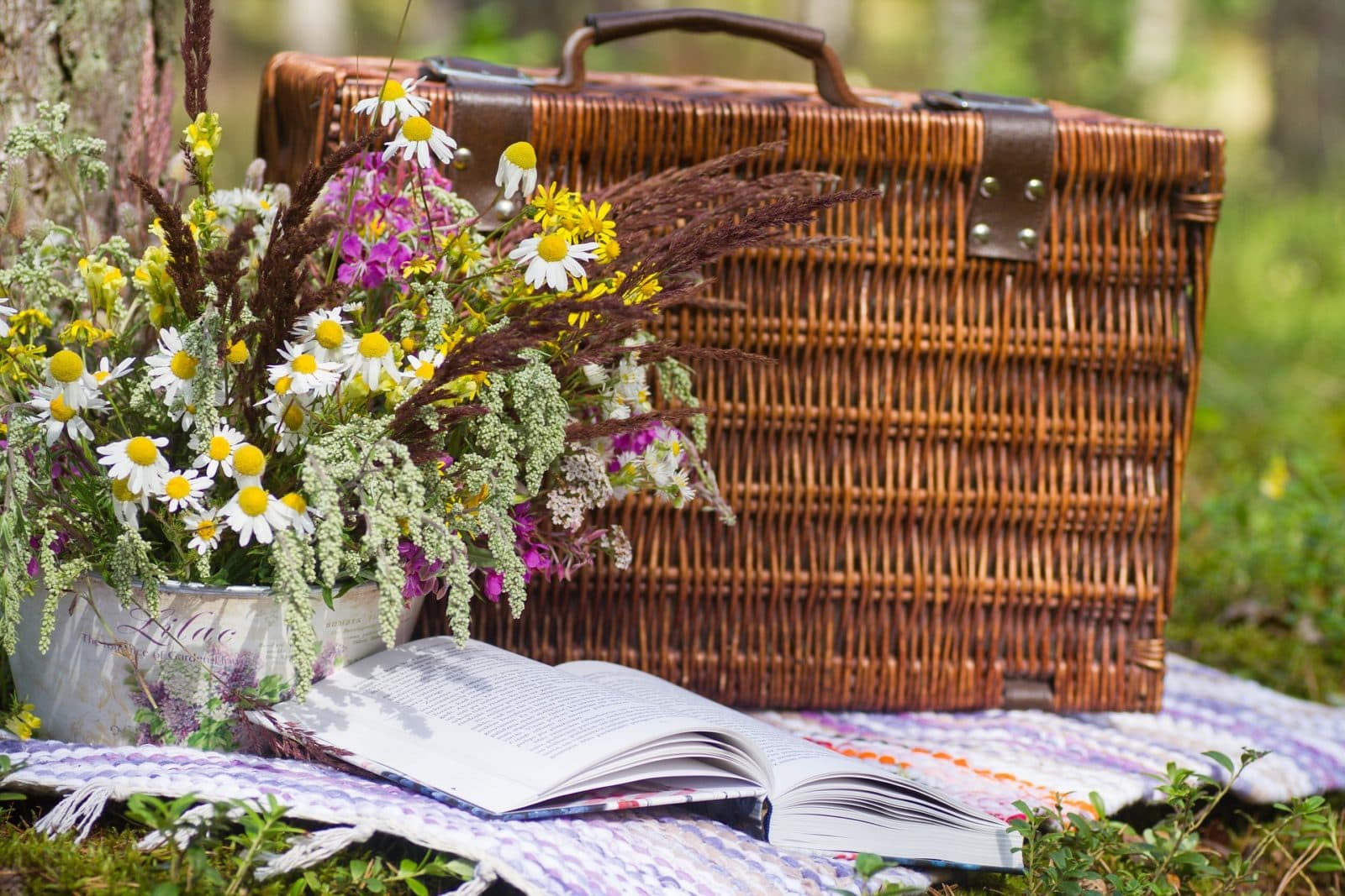 Picnic!