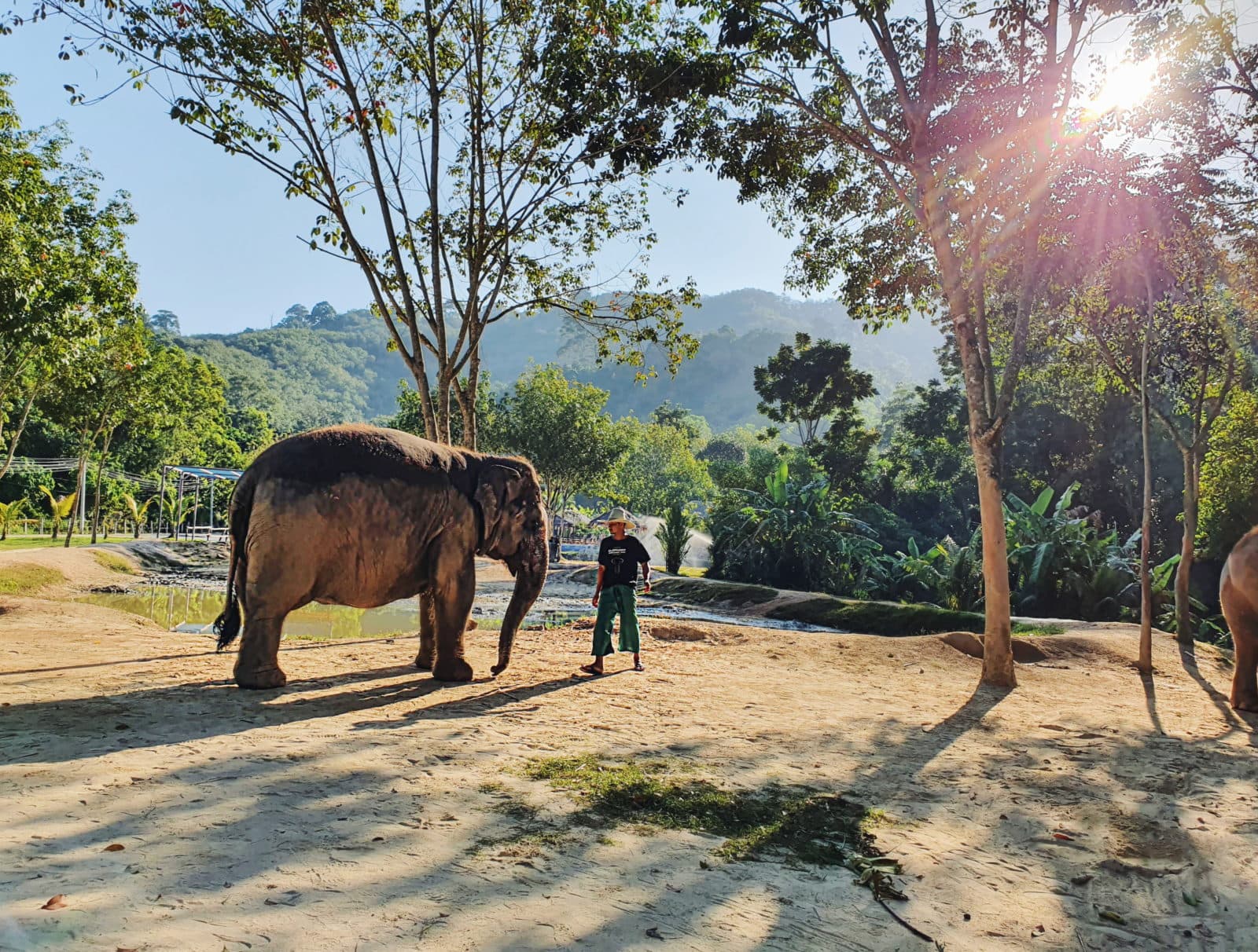 Green Elephant Sanctuary Park Phuket