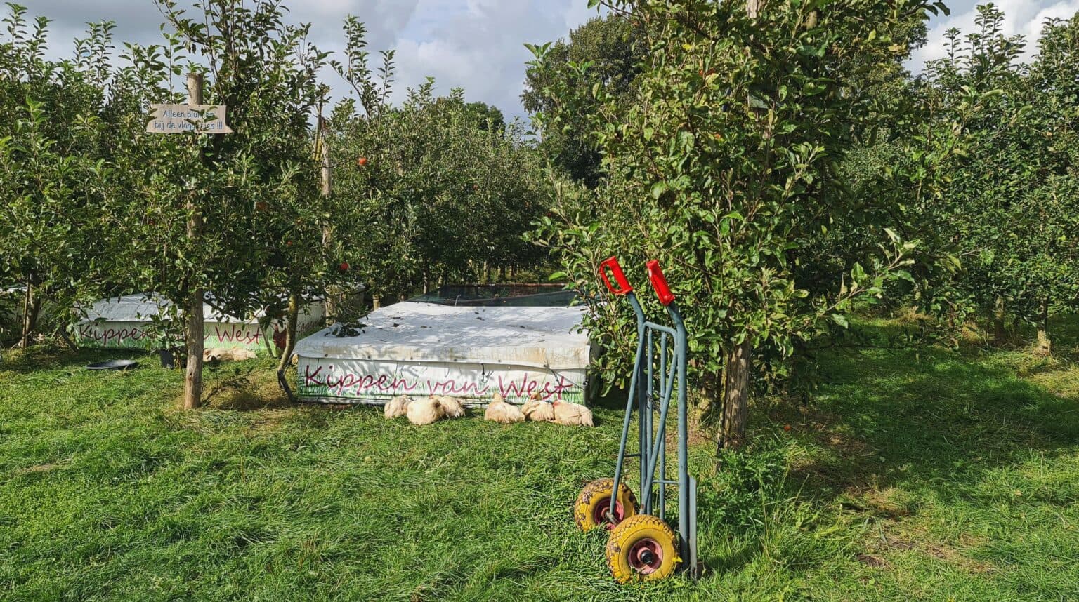 Fruittuin van West